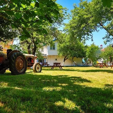 Ziya Bey Sahil Evleri Ξενοδοχείο με διαμερίσματα