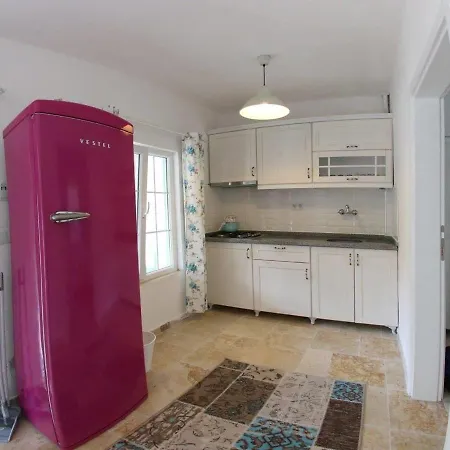 Ziya Bey Sahil Evleri *