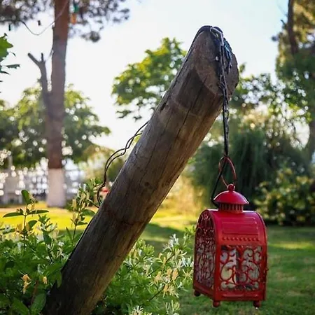 Ziya Bey Sahil Evleri Ξενοδοχείο με διαμερίσματα